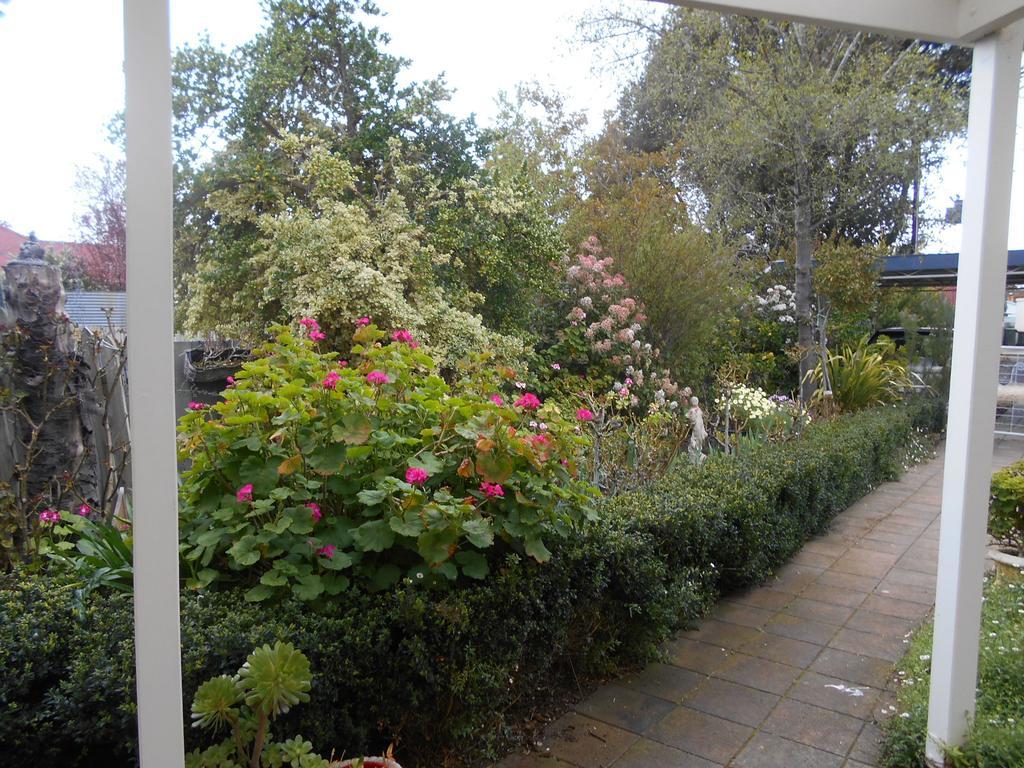 Travellers Rest B&B Penola Phòng bức ảnh